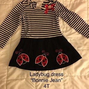 Ladybug 4T dress